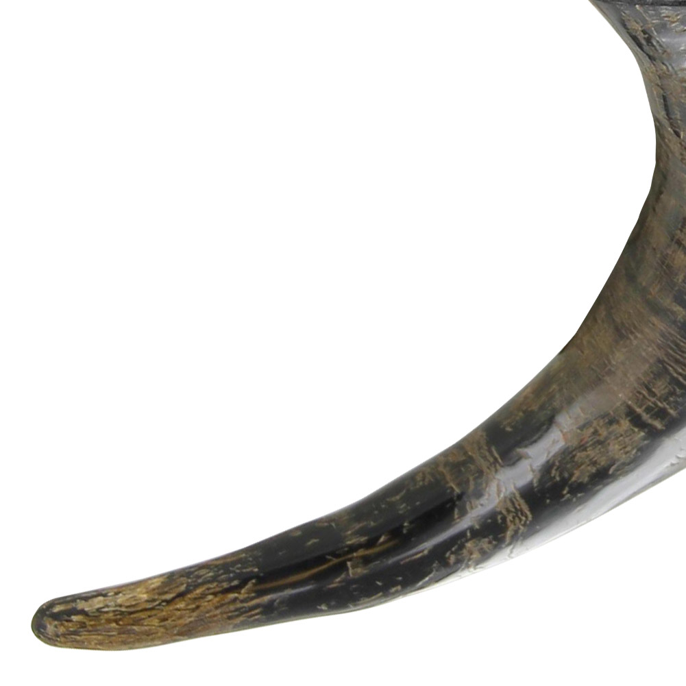4420 Handmade Nili-Ravi Artisan Natural Horn-img-3
