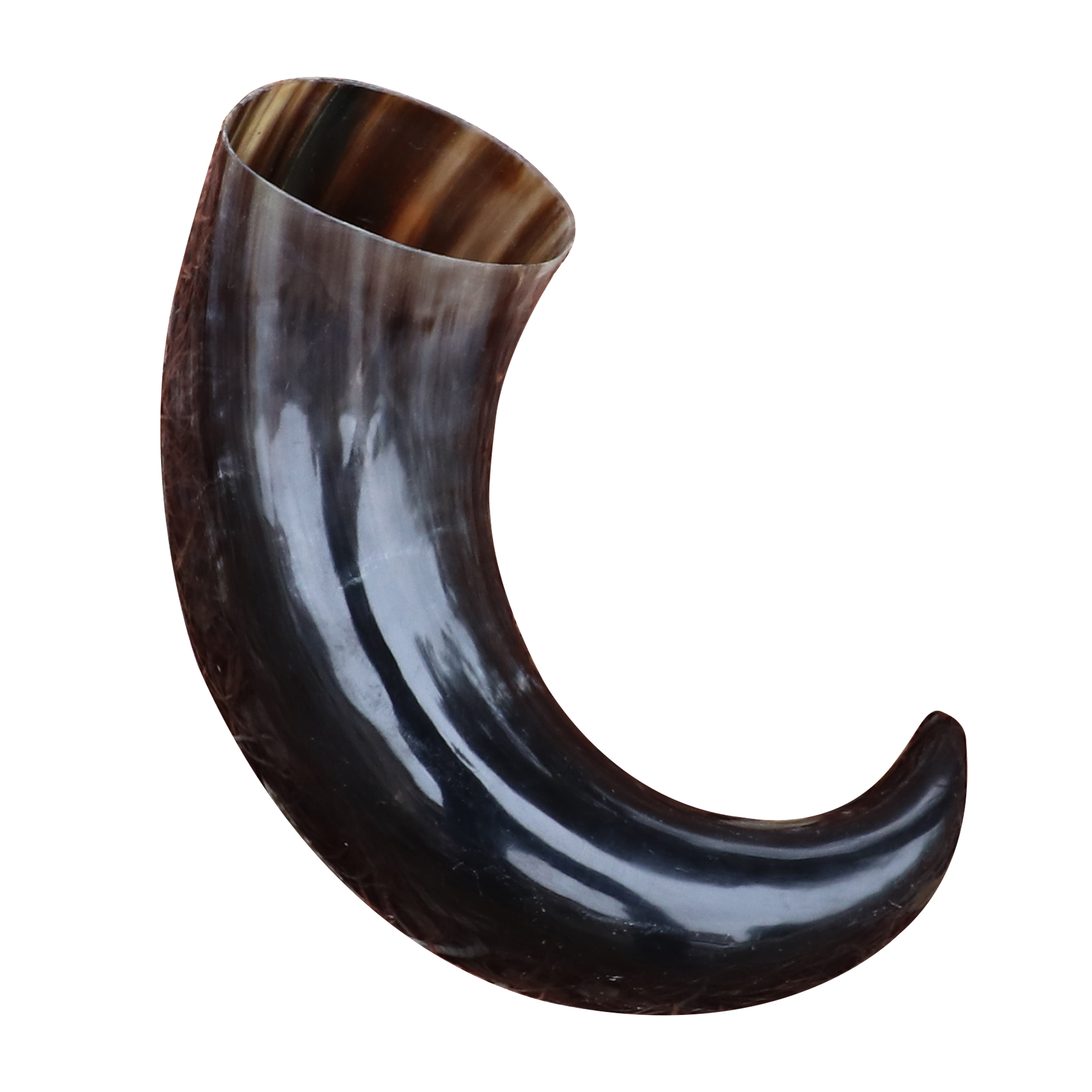 4200 Extra Large Medieval Ale Mead Drinking Horn-img-4